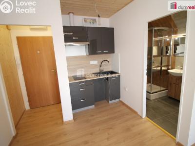Аренда квартиры 1+KK Mariánské Lázně, Hlavní třída č. 1