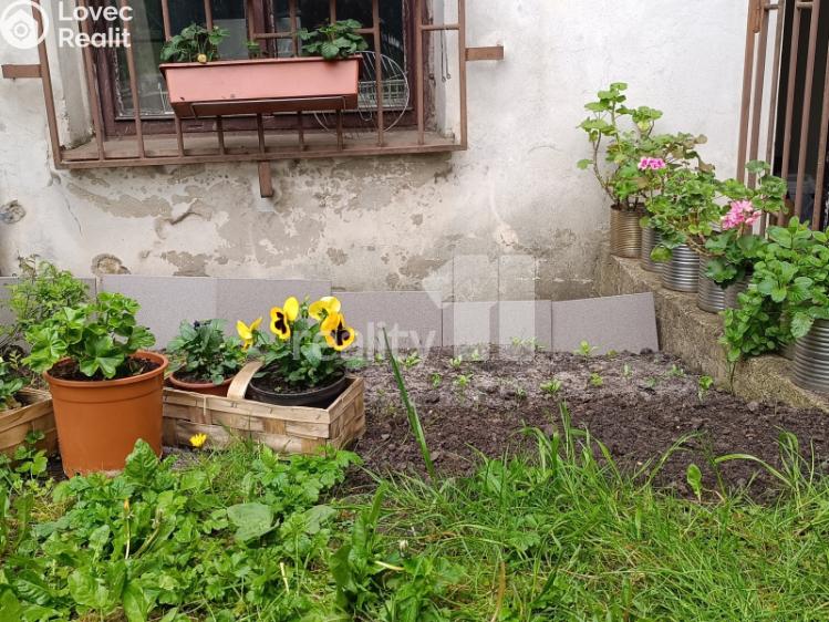 Pronájem bytu 2+1 Česká Lípa, Jindřicha z Lipé č. 14