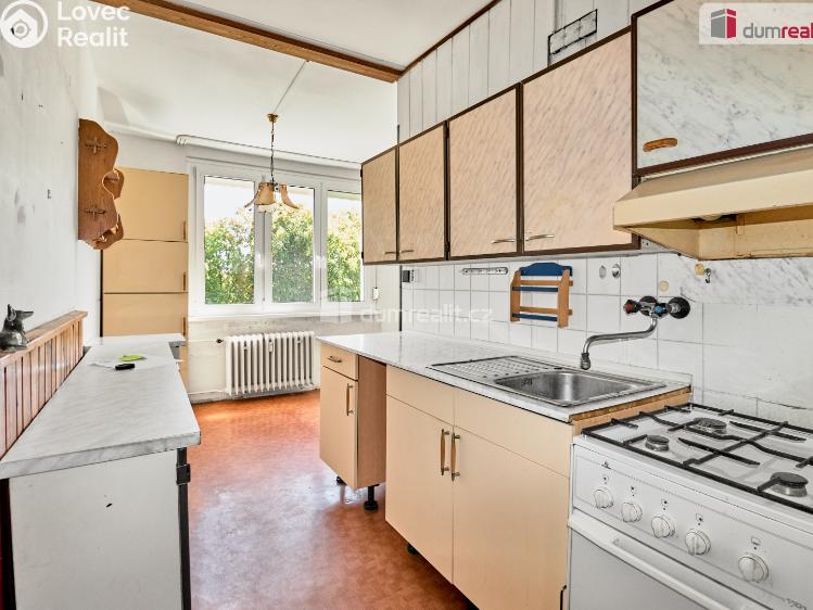 Sale apartment 3+1 Vintířov č. 19