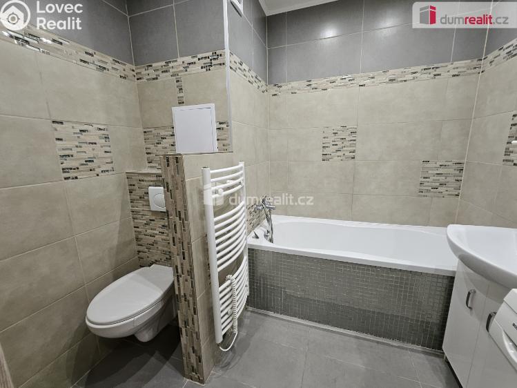 Pronájem bytu 1+1 Ústí nad Labem, Nová č. 15