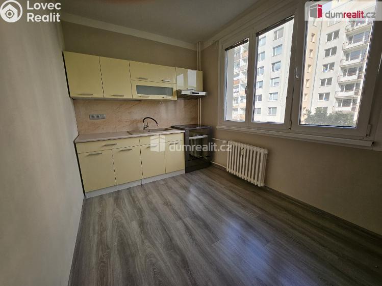 Pronájem bytu 1+1 Ústí nad Labem, Nová č. 19