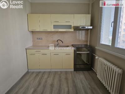 Rent apartment 1+1 Ústí nad Labem, Nová č. 1