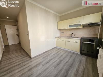 Rent apartment 1+1 Ústí nad Labem, Nová č. 2