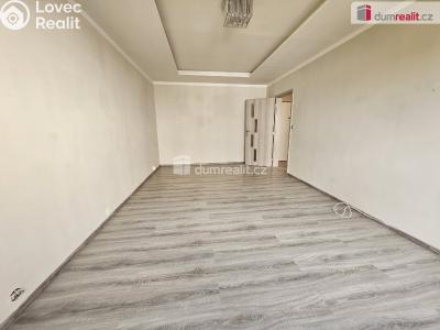 Rent apartment 1+1 Ústí nad Labem, Nová č. 4