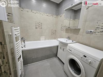 Rent apartment 1+1 Ústí nad Labem, Nová č. 6