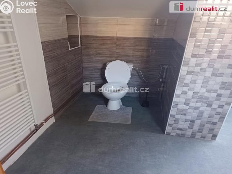 Продажа квартиры 1+1 Děčín, Teplická č. 10