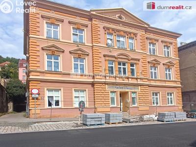 Sale apartment 1+1 Děčín, Teplická č. 1