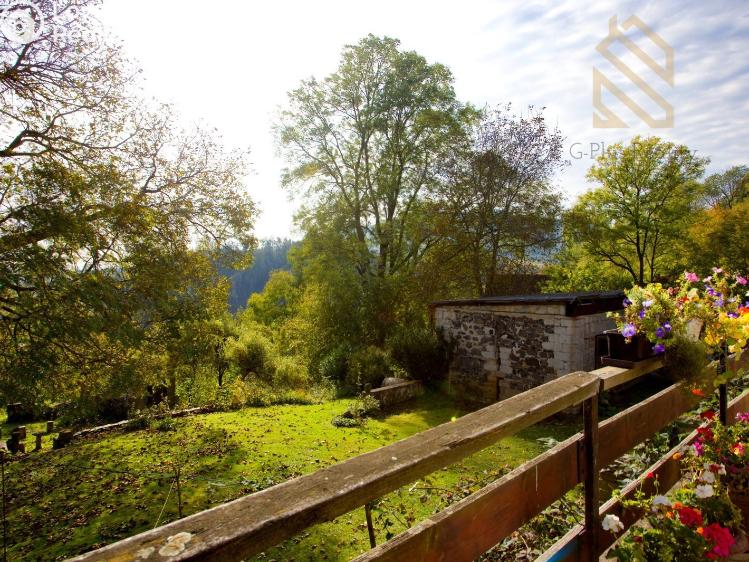 Prodej rodinného domu Levín č. 11