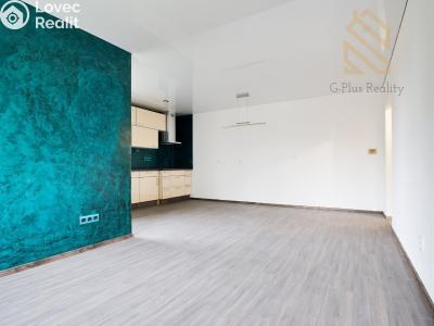 Sale apartment 4+KK Lovosice č. 6
