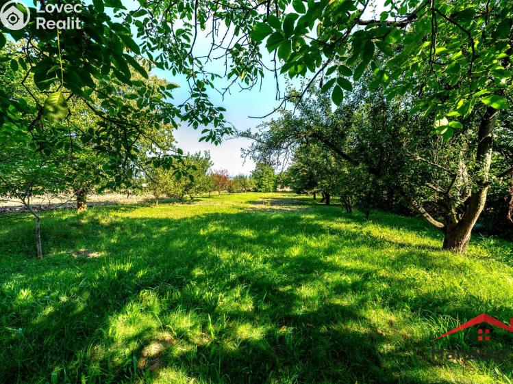 Prodej rodinného domu Vrbičany č. 16