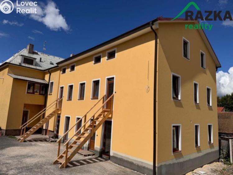 Pronájem bytu 1+KK Planá, Zámecká č. 6