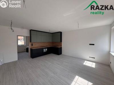 Rent apartment 1+KK Planá, Zámecká č. 2