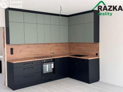 Rent apartment 1+KK Planá, Zámecká č. 3