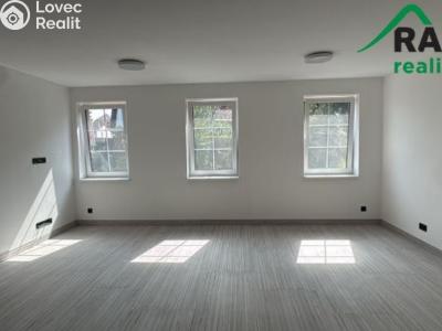 Rent apartment 1+KK Planá, Zámecká č. 4