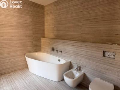 Rent apartment 1+KK Planá, Zámecká č. 5