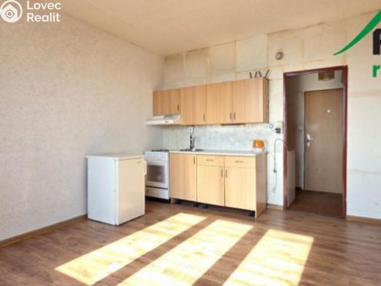 Prodej bytu 1+KK Tachov, Bělojarská č. 1