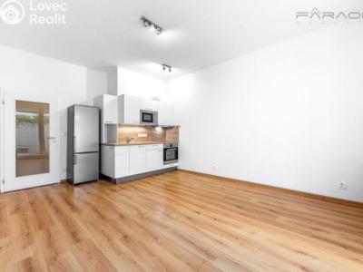 Rent apartment 1+KK Praha, 28. pluku č. 1