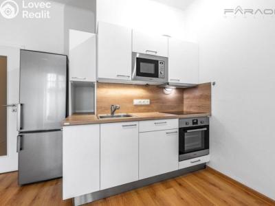 Rent apartment 1+KK Praha, 28. pluku č. 5