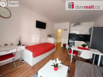 Pronájem bytu 1+KK Olomouc, Eduarda Hamburgera č. 4