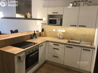 Rent apartment 1+KK Praha, Sulova č. 1