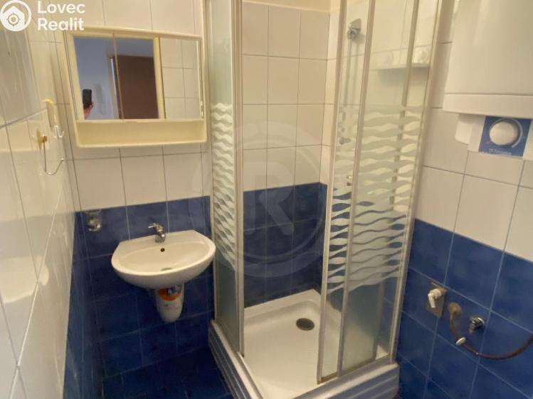 Pronájem bytu 2+1 Jankov č. 7