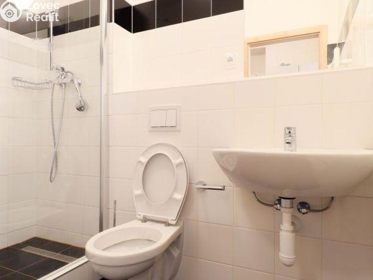 Pronájem bytu 1+KK Praha, Křížová č. 6