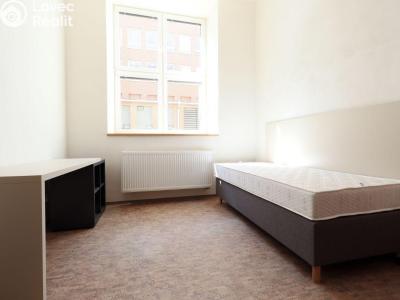 Rent apartment 1+KK Praha, Křížová č. 1