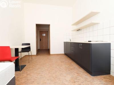 Rent apartment 1+KK Praha, Křížová č. 2