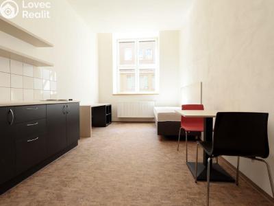 Rent apartment 1+KK Praha, Křížová č. 3