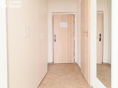 Rent apartment 1+KK Praha, Křížová č. 5
