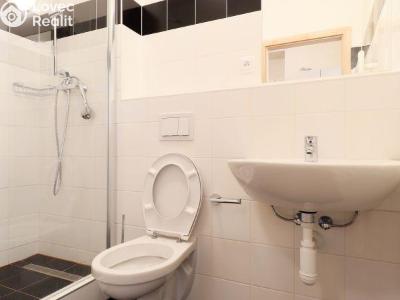 Rent apartment 1+KK Praha, Křížová č. 6