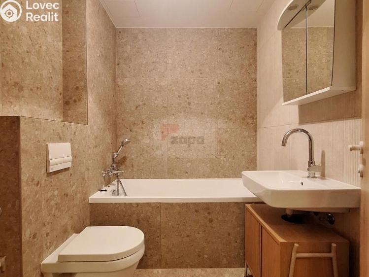 Pronájem bytu 1+1 Brandýs nad Labem, Dřevčická 2715 č. 8