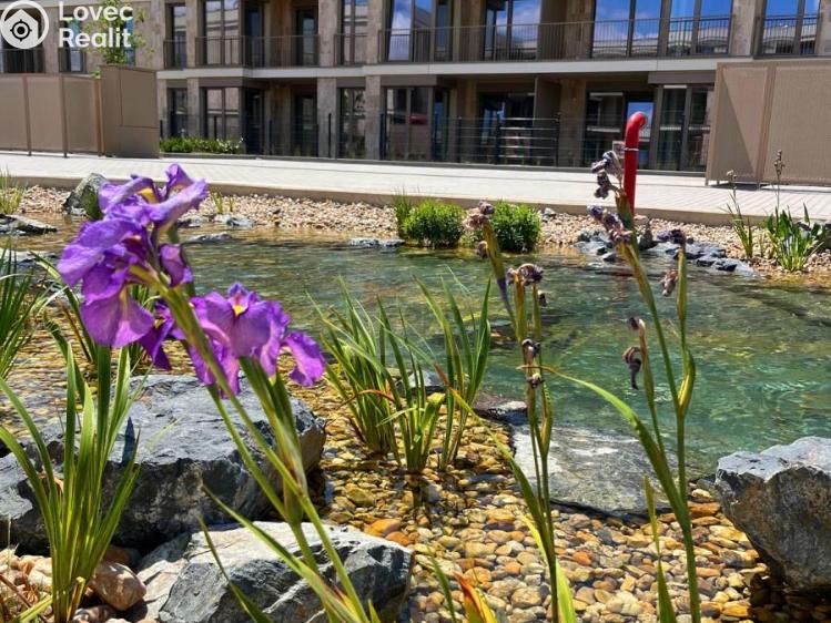 Pronájem bytu 1+1 Brandýs nad Labem, Dřevčická 2715 č. 17