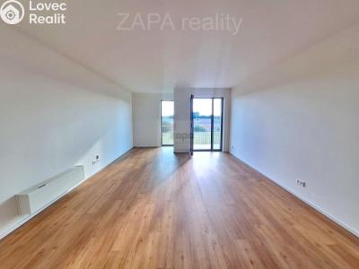 Rent apartment 1+1 Brandýs nad Labem, Dřevčická 2715 č. 4