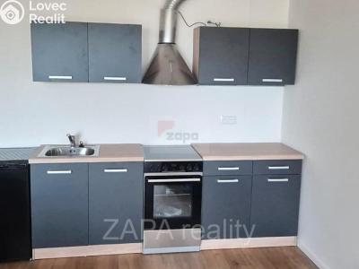 Rent apartment 1+1 Brandýs nad Labem, Dřevčická 2715 č. 4