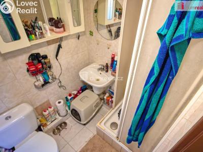 Rent apartment 1+KK Neratovice, Hlavní č. 6