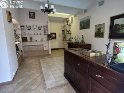Prodej obchodního prostoru Mariánské Lázně, Ruská č. 3
