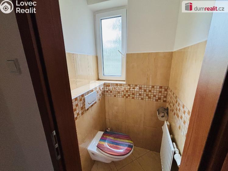 Pronájem bytu 2+1 Říčany, Alšova č. 13