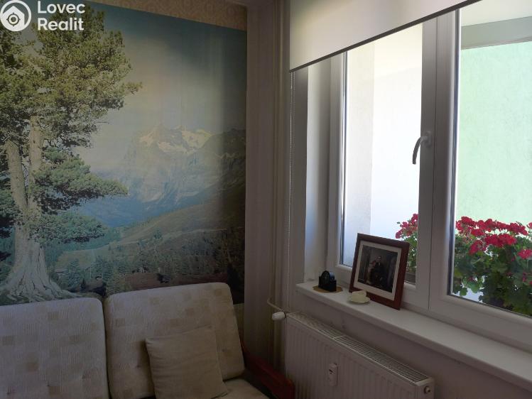 Продажа квартиры 2+KK České Budějovice, N. Frýda č. 10
