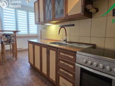 Rent apartment 3+1 Planá, Fučíkova č. 1