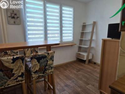 Rent apartment 3+1 Planá, Fučíkova č. 4