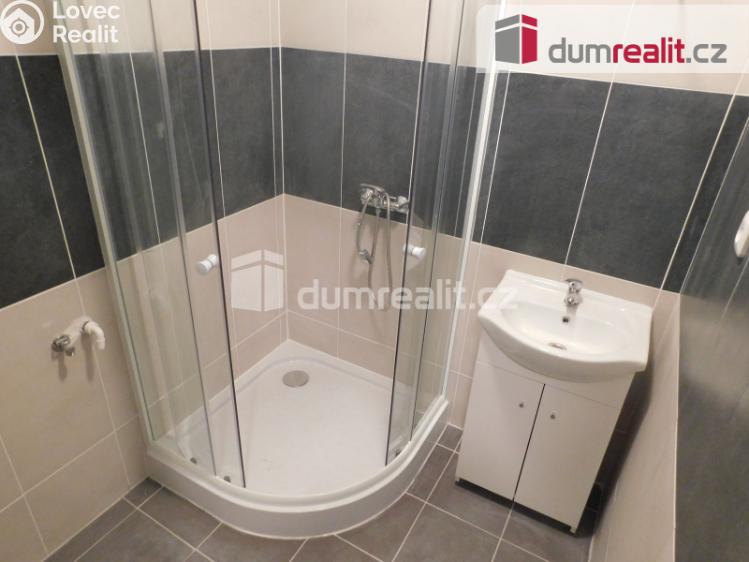 Rent apartment 1+1 Opava, Podvihovská č. 2