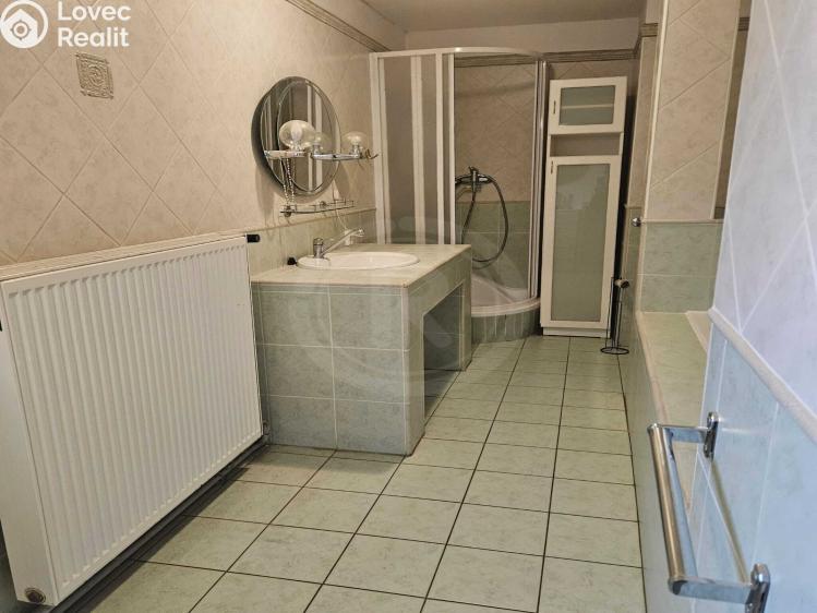 Продаж сімейного будинку Dobrá Voda u Českých Budějovic, Potoční 1229/25 č. 11