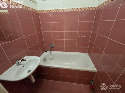 Rent apartment 1+1 Chodov, Vítězná č. 2