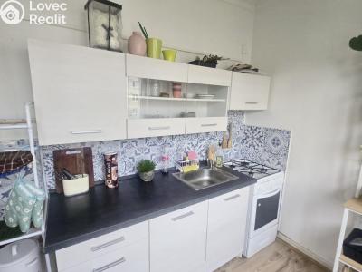 Rent apartment 1+1 Chodov, Vítězná č. 5