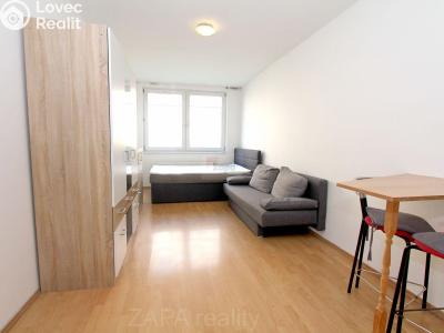 Rent apartment 1+KK Praha, Hnězdenská č. 1