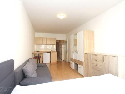 Rent apartment 1+KK Praha, Hnězdenská č. 2