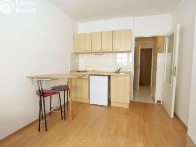 Rent apartment 1+KK Praha, Hnězdenská č. 3