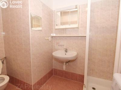 Rent apartment 1+KK Praha, Hnězdenská č. 4