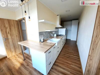 Rent apartment 2+1 Ústí nad Labem, Jana Zajíce č. 2